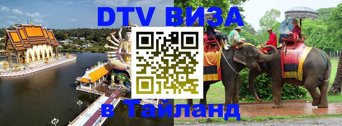 Оформление DTV визы под ключ: стоимость и тарифы, только загранпаспорт - 